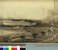 藏品(運動場)的圖片